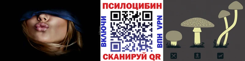 Псилоцибиновые грибы мухоморы  где купить наркоту  сайты даркнета наркотические препараты  Ессентуки 